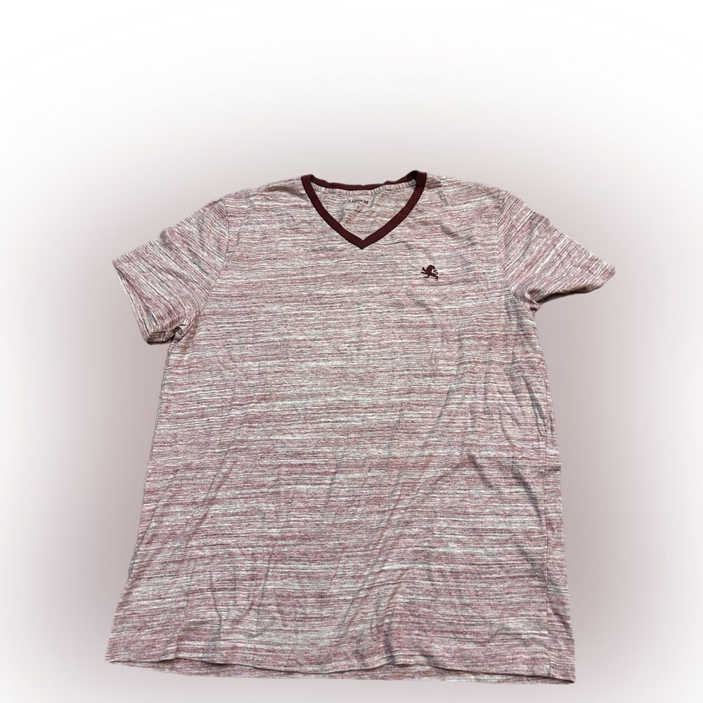 Men’s Express V-neck T-shirt